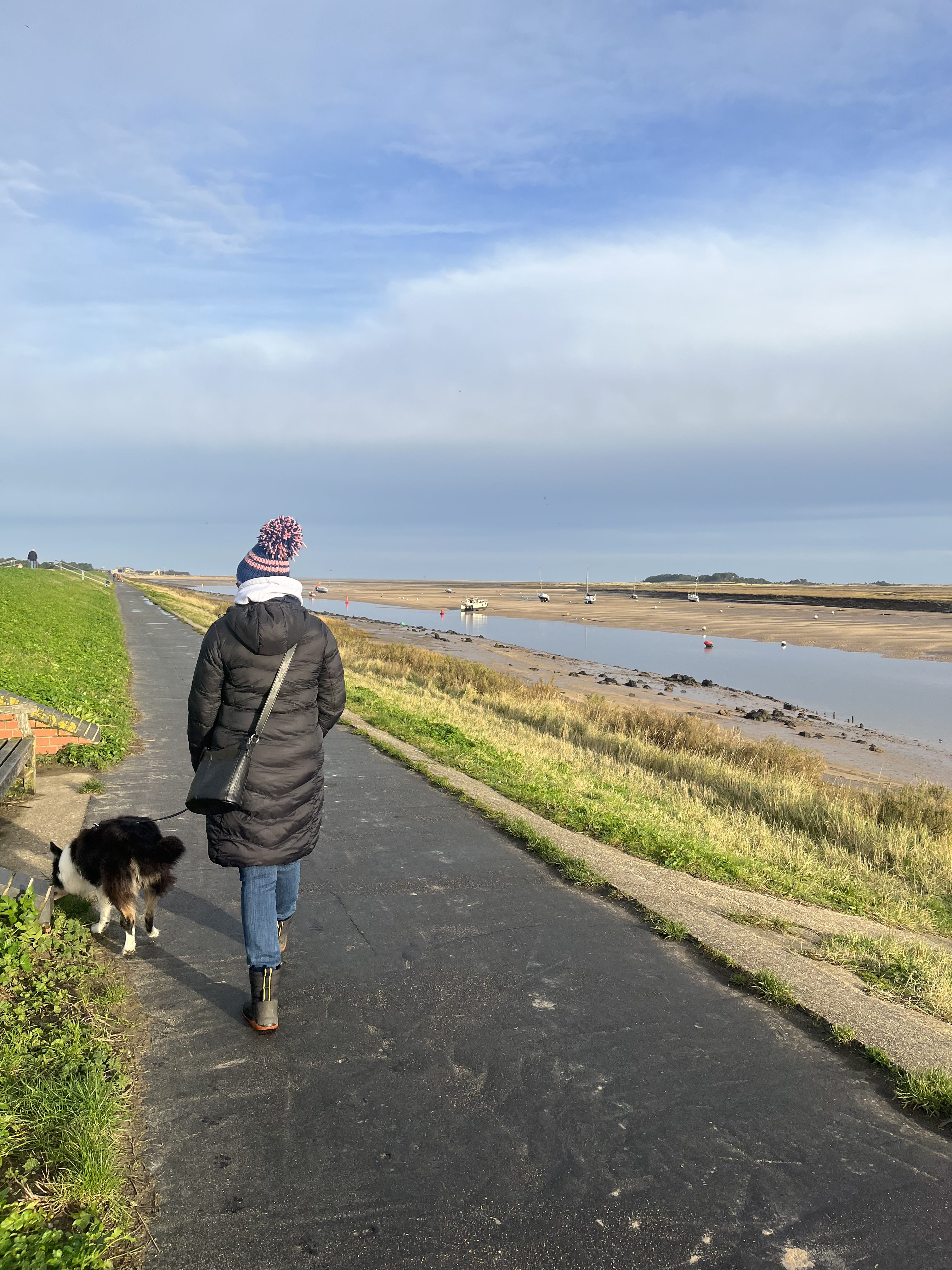 Placeholder pet photo