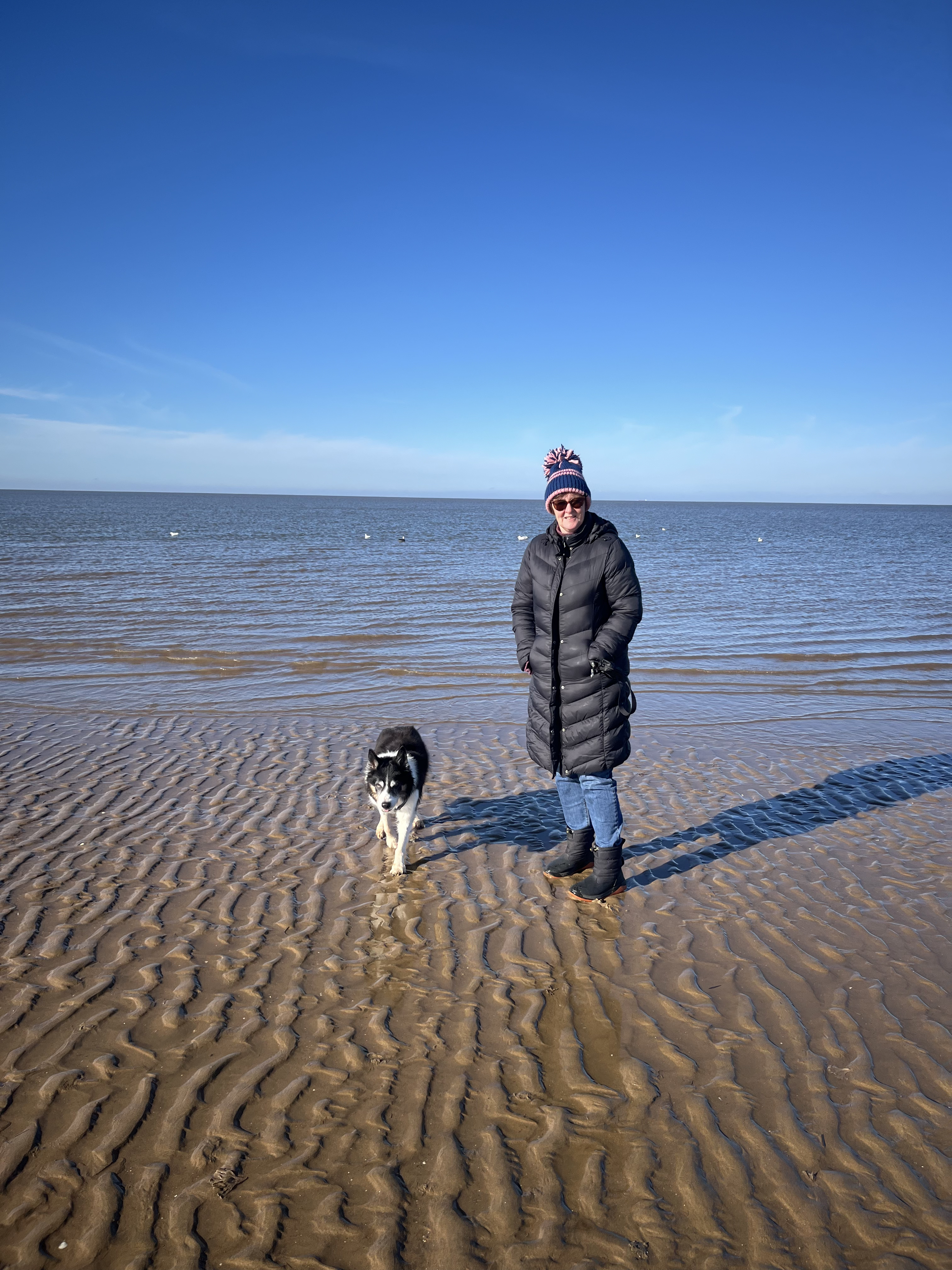 Placeholder pet photo